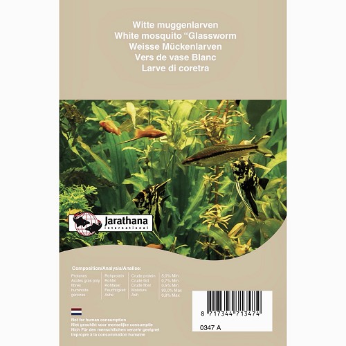 Vers de vase blanc dans une emballage de blister